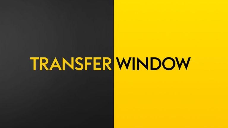 skysports-transfer-window-graphic_4564326